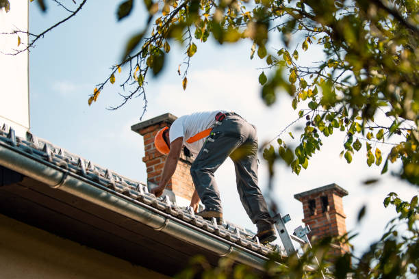 Best Slate Roofing Contractor  in Forest Lake, IL