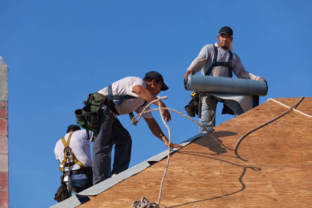 Best Roof Leak Repair  in Forest Lake, IL