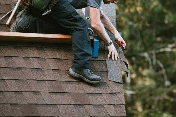 Best Shingle Roofing Installation  in Forest Lake, IL